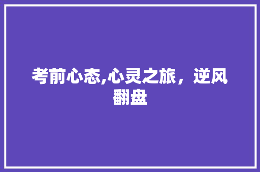 考前心态,心灵之旅，逆风翻盘 会议纪要范文