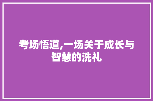 考场悟道,一场关于成长与智慧的洗礼