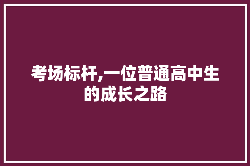 考场标杆,一位普通高中生的成长之路