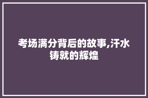 考场满分背后的故事,汗水铸就的辉煌