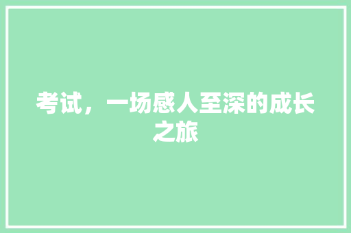 考试，一场感人至深的成长之旅