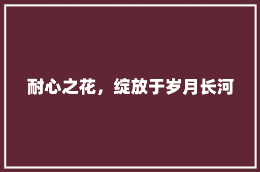 耐心之花，绽放于岁月长河