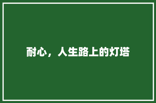 耐心，人生路上的灯塔