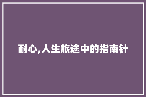 耐心,人生旅途中的指南针