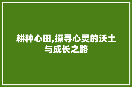 耕种心田,探寻心灵的沃土与成长之路 生活范文