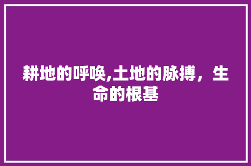 耕地的呼唤,土地的脉搏，生命的根基