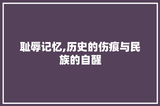 耻辱记忆,历史的伤痕与民族的自醒