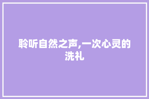 聆听自然之声,一次心灵的洗礼