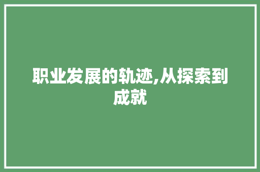 职业发展的轨迹,从探索到成就