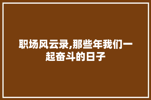 职场风云录,那些年我们一起奋斗的日子