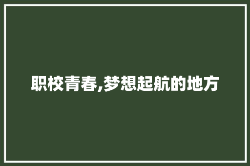 职校青春,梦想起航的地方