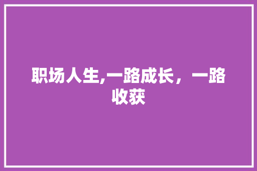 职场人生,一路成长，一路收获