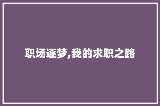 职场逐梦,我的求职之路