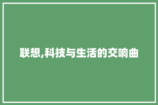 联想,科技与生活的交响曲