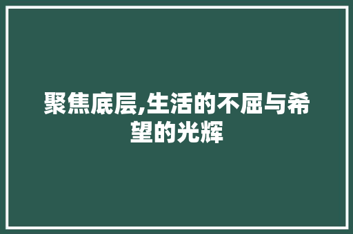 聚焦底层,生活的不屈与希望的光辉