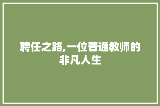 聘任之路,一位普通教师的非凡人生