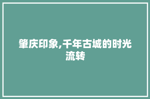 肇庆印象,千年古城的时光流转