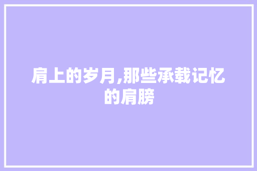 肩上的岁月,那些承载记忆的肩膀