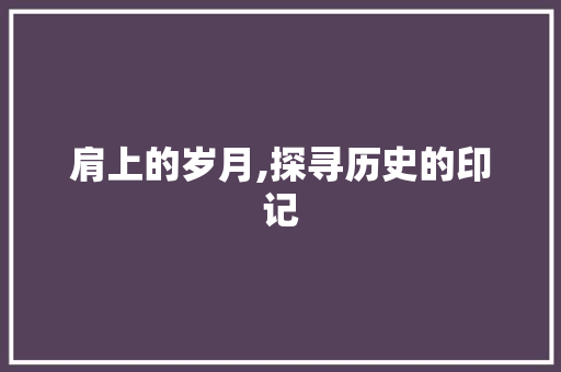 肩上的岁月,探寻历史的印记