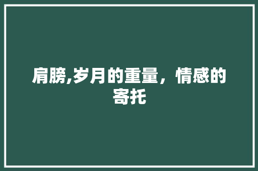 肩膀,岁月的重量，情感的寄托