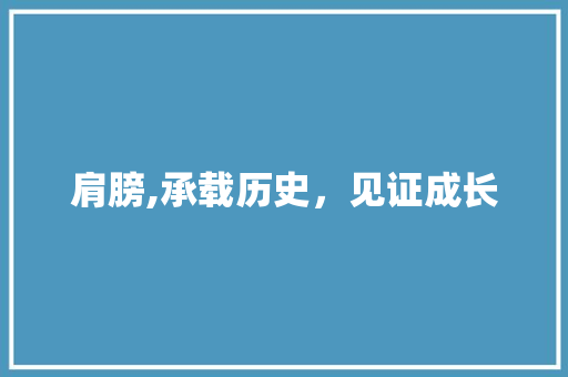 肩膀,承载历史，见证成长