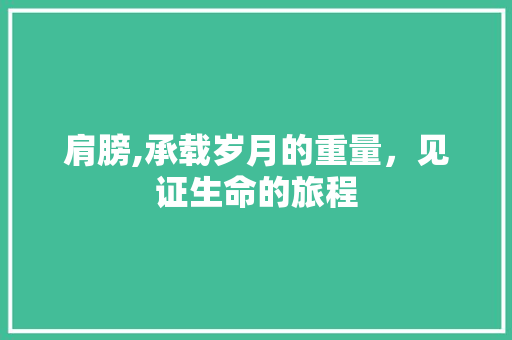 肩膀,承载岁月的重量，见证生命的旅程