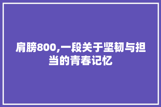 肩膀800,一段关于坚韧与担当的青春记忆