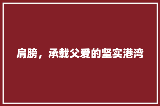 肩膀，承载父爱的坚实港湾