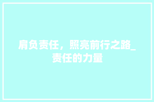 肩负责任，照亮前行之路_责任的力量