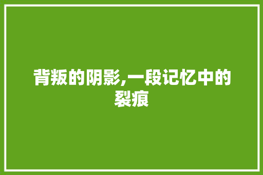 背叛的阴影,一段记忆中的裂痕