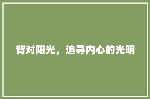 背对阳光，追寻内心的光明