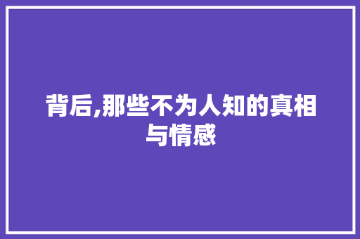 背后,那些不为人知的真相与情感