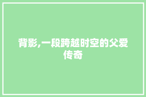 背影,一段跨越时空的父爱传奇