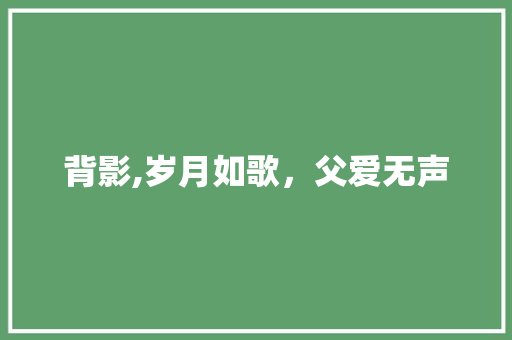 背影,岁月如歌，父爱无声