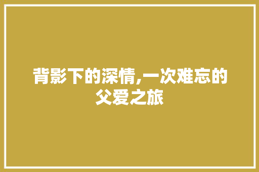 背影下的深情,一次难忘的父爱之旅