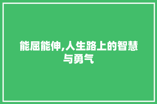 能屈能伸,人生路上的智慧与勇气