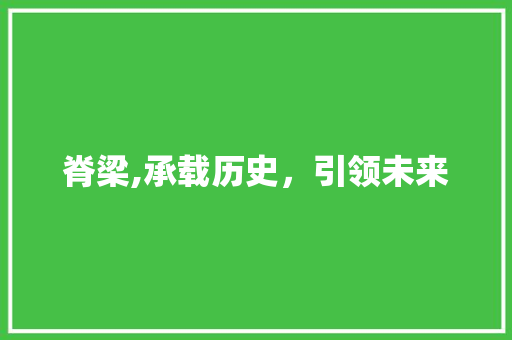 脊梁,承载历史，引领未来