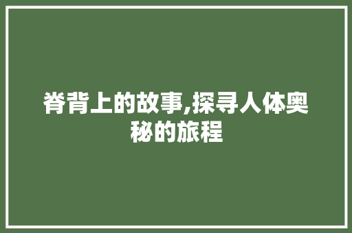 脊背上的故事,探寻人体奥秘的旅程