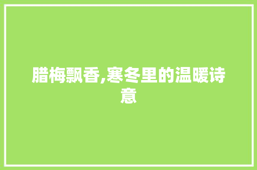 腊梅飘香,寒冬里的温暖诗意