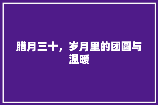 腊月三十，岁月里的团圆与温暖 致辞范文