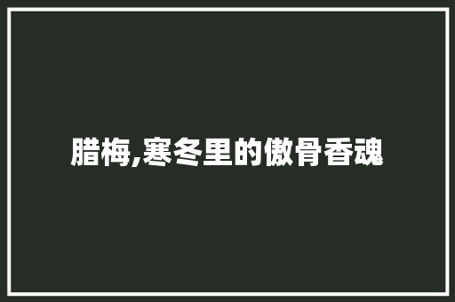 腊梅,寒冬里的傲骨香魂