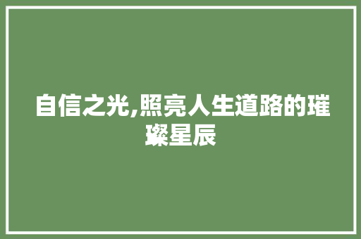 自信之光,照亮人生道路的璀璨星辰