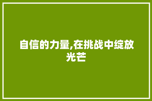 自信的力量,在挑战中绽放光芒