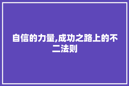 自信的力量,成功之路上的不二法则