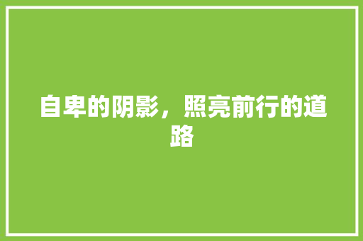 自卑的阴影，照亮前行的道路