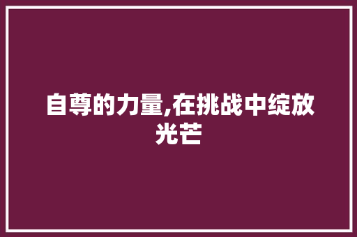 自尊的力量,在挑战中绽放光芒