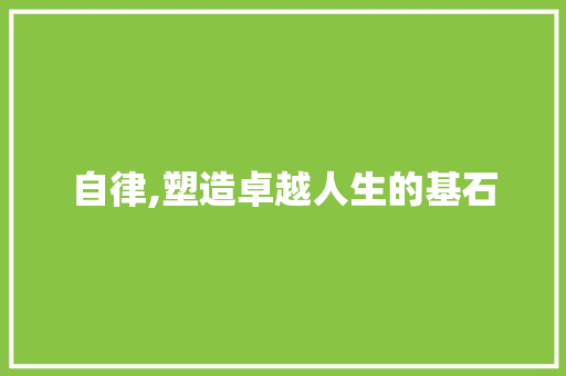 自律,塑造卓越人生的基石