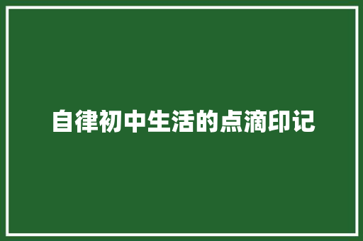 自律初中生活的点滴印记