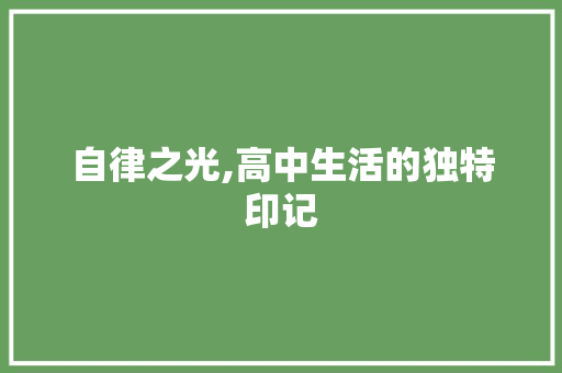 自律之光,高中生活的独特印记