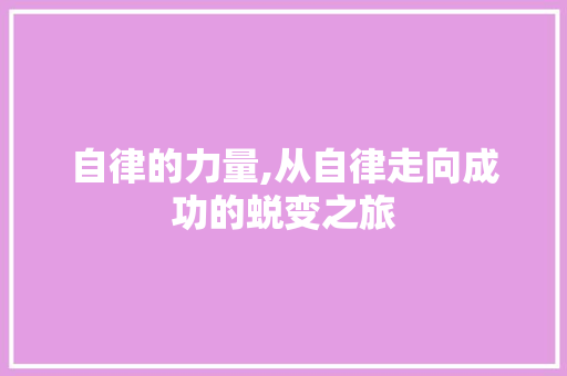 自律的力量,从自律走向成功的蜕变之旅